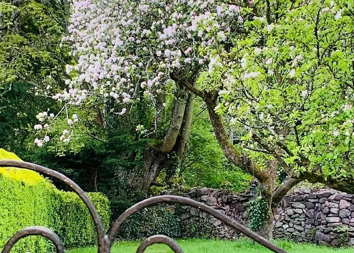 The Almanage Panzió Tipperary