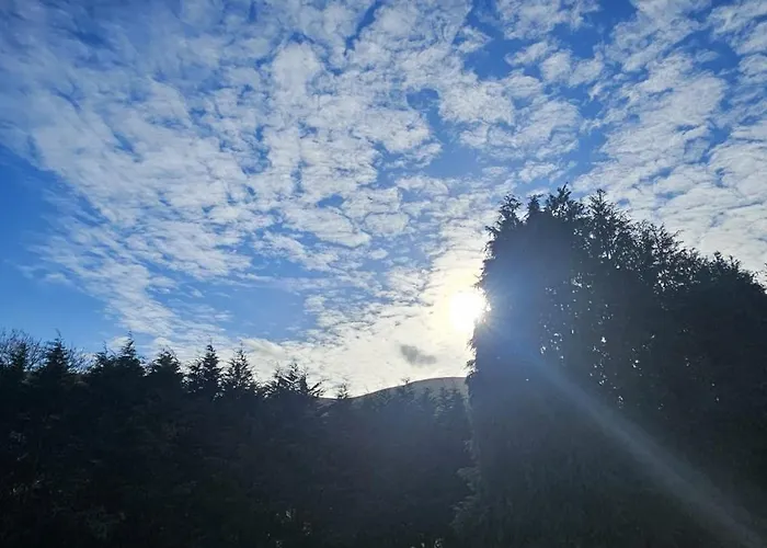 Panzió The Almanage